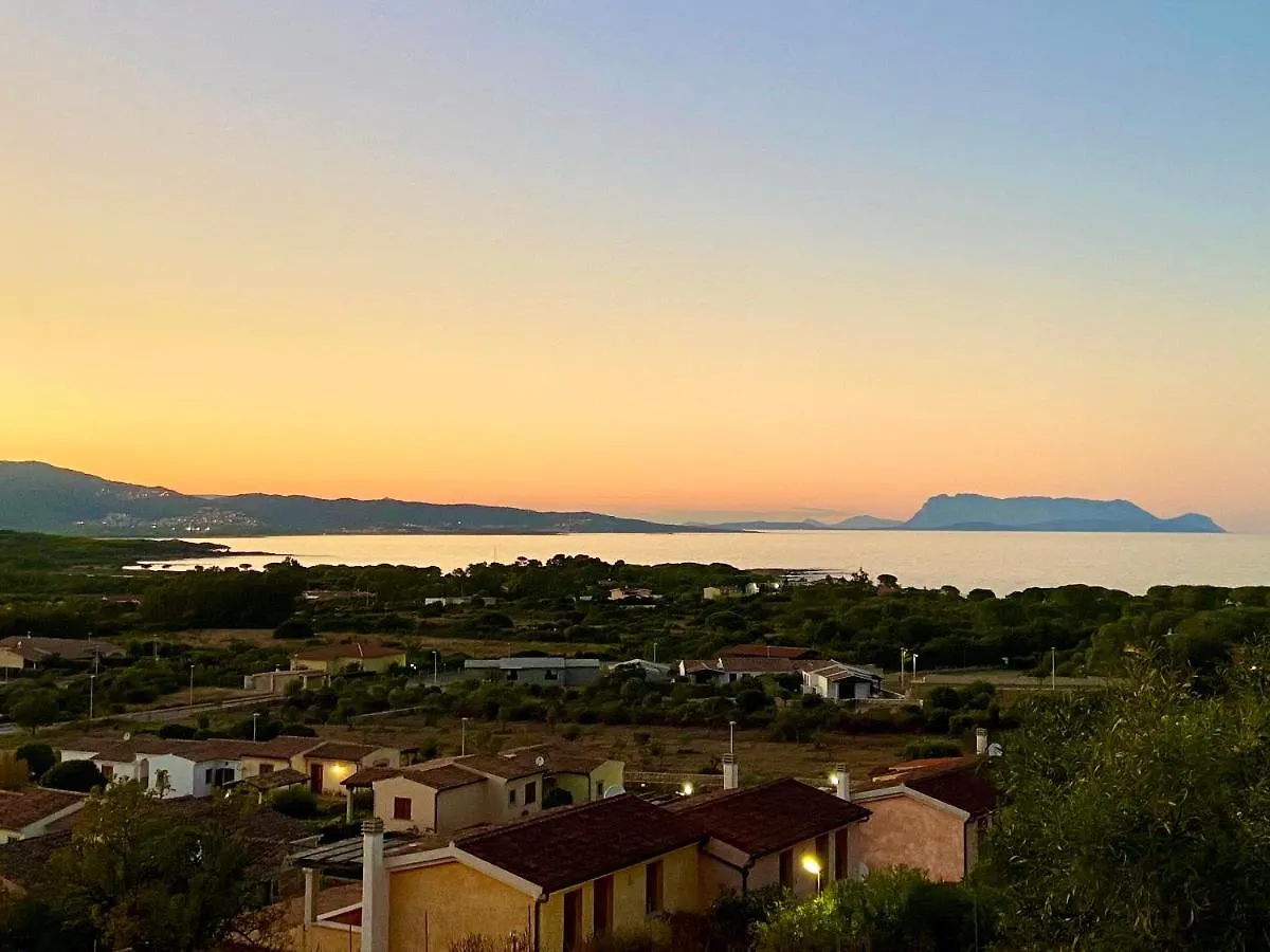 Olivastro di Tanaunella Budoni Italia